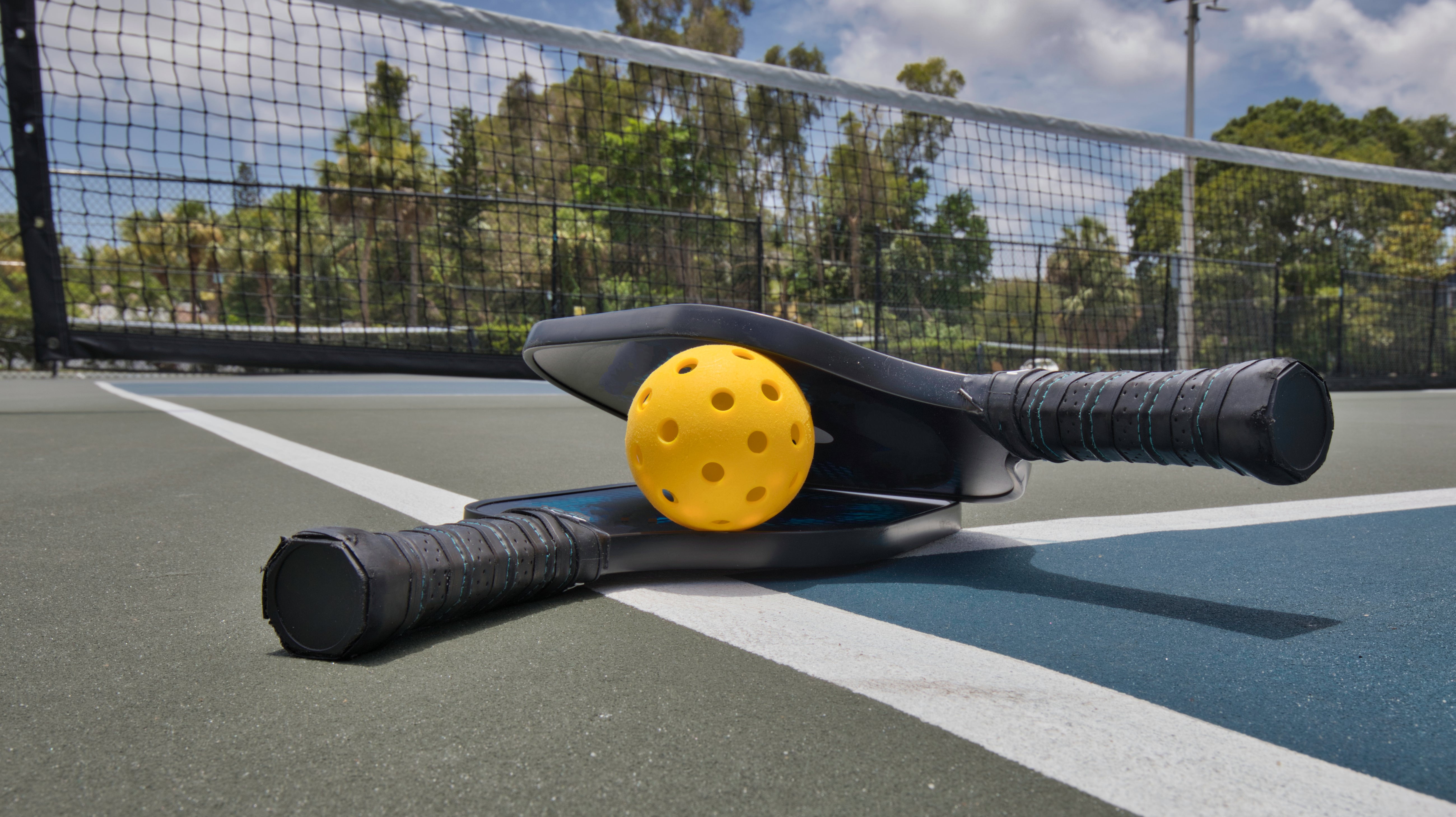 Pickleball Paddles in 2024
