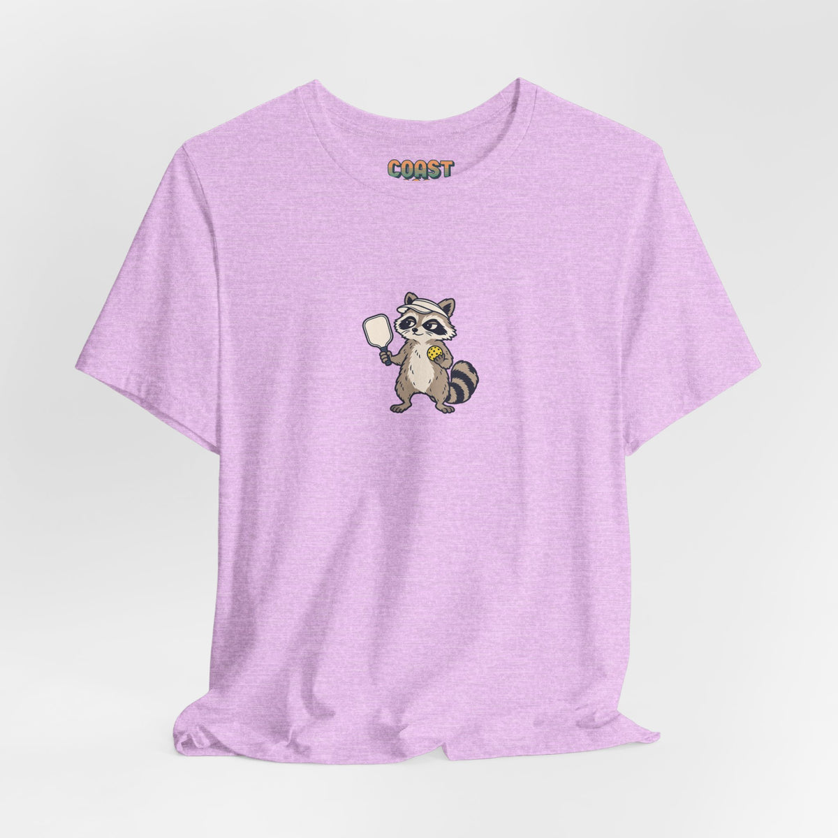 Raccoon pickleball t-shirt, That Point Was Mine