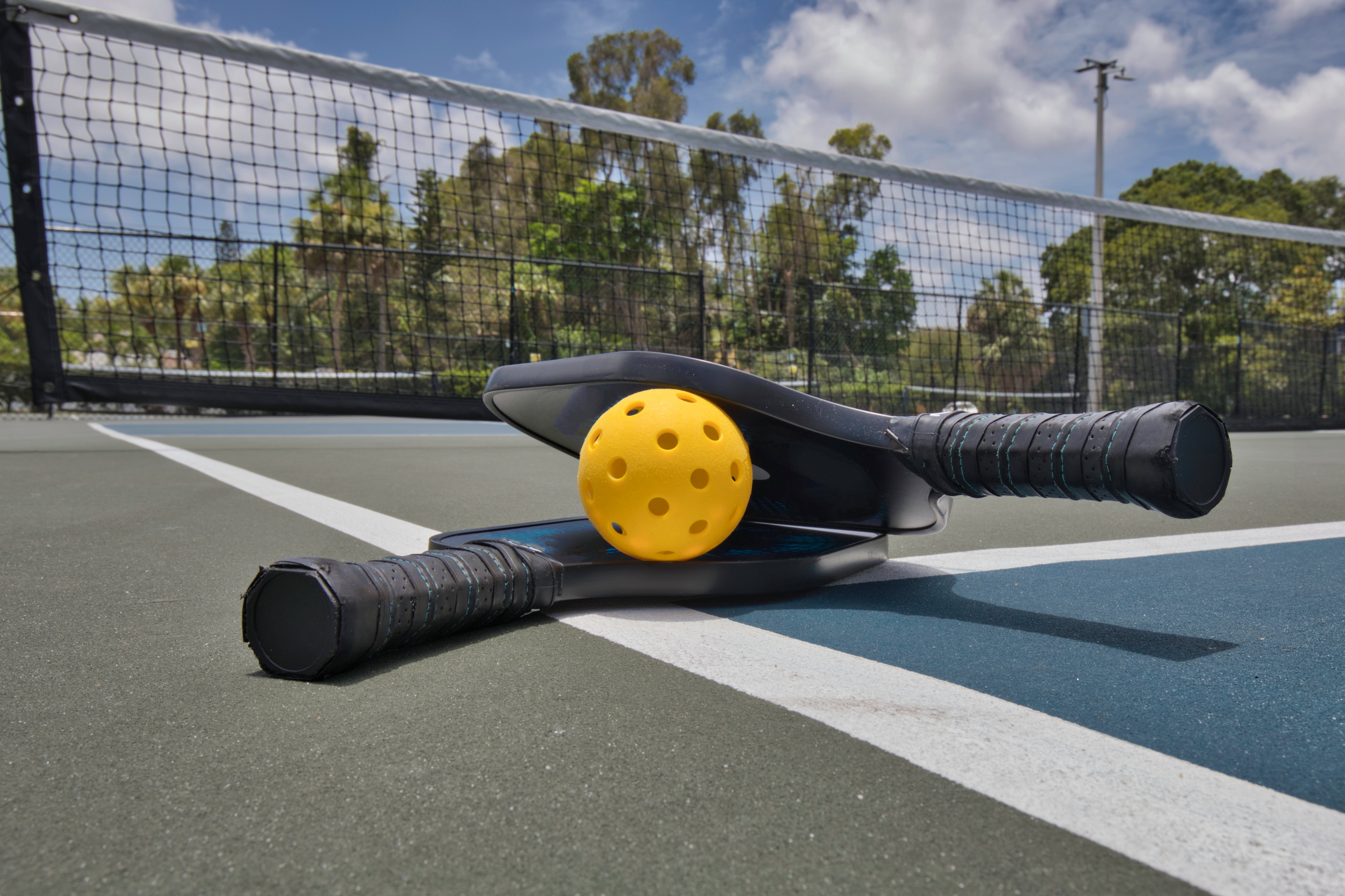 Pickleball Paddles in 2024