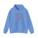 Unisex Heavy Blend Pickleball Hoodie - 1965 Bainbridge Island