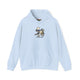 Funny Falcon Pickleball Hoodie - I Saw Where It Landed