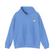 Carolina blue hoodie with a small PICKLEBALLER chest logo featuring crossed pickleball paddles