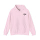 Light pink hoodie with a small black PICKLEBALLER chest logo featuring crossed paddles