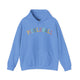 Carolina blue hoodie with a colorful arched PICKLEBALL text design